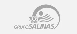 Clientes - Grupo Salinas - Helios Herrera