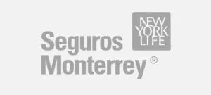 Clientes - Seguros Monterrey - Helios Herrera